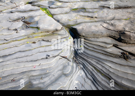 Interessante Muster entsteht durch Verwitterung von Kalkstein-Felsen an der Nord-Osten Englands Stockfoto