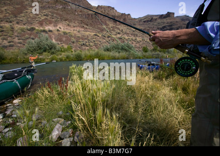 Fliegenfischen Sie am unteren Owyhee River ein blaues Band Bachforelle Fischerei im südöstlichen Oregon Stockfoto