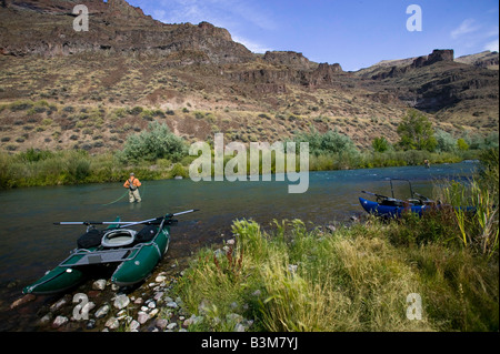 Fliegenfischen Sie am unteren Owyhee River ein blaues Band Bachforelle Fischerei im südöstlichen Oregon Stockfoto