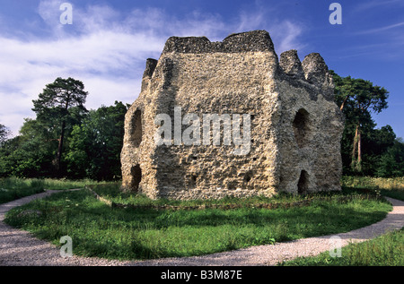 Gesamtansicht der Krönungsfeierlichkeiten Schloss (Johann Ohneland) in der Nähe von Basingstoke, Hampshire Stockfoto