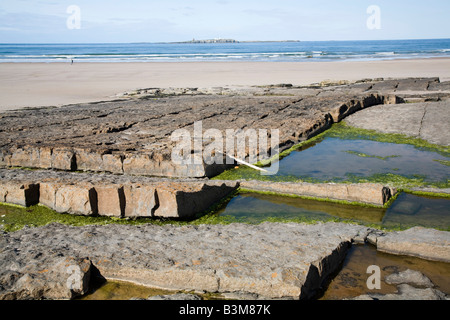 Kalksteinformationen auf der Küste North East England Stockfoto