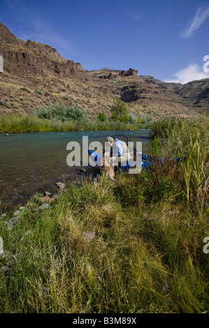 Fliegenfischen Sie am unteren Owyhee River ein blaues Band Bachforelle Fischerei im südöstlichen Oregon Stockfoto