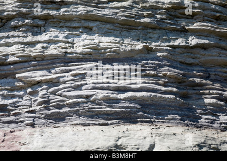 Interessante Muster entsteht durch Verwitterung von Kalkstein-Felsen an der Nord-Osten Englands Stockfoto