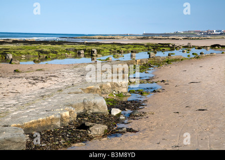 Kalksteinformationen auf der Küste North East England Stockfoto