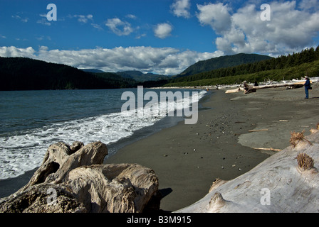 Treibholz am langen Sandstrand auf Pacheedaht First Nations Campingplatz an der Mündung des Flusses San Juan an Spitze der Bucht von San Juan Stockfoto