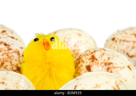 Osterküken Ostereier mit weißem Hintergrund Stockfoto