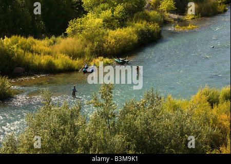 Fliegenfischen Sie am unteren Owyhee River ein blaues Band Bachforelle Fischerei im südöstlichen Oregon Stockfoto