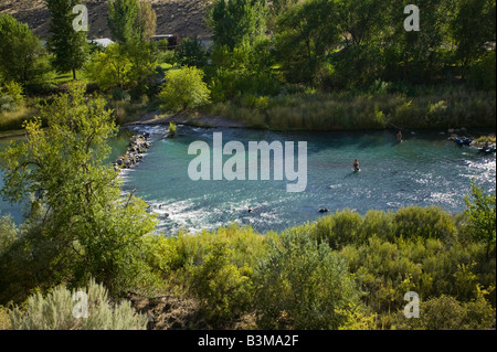 Fliegenfischen Sie am unteren Owyhee River ein blaues Band Bachforelle Fischerei im südöstlichen Oregon Stockfoto