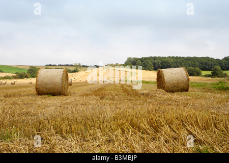 Heu Ballen Stockfoto