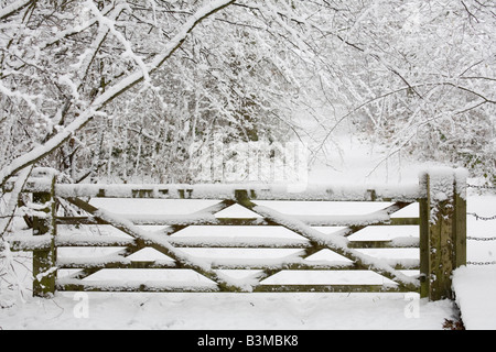 Traditionelle Holztor schneebedeckt in einen Wald Winter-Szene Stockfoto