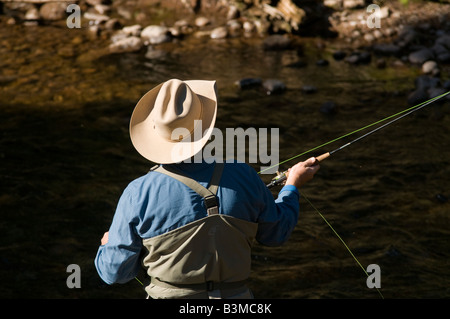 Ortsansässiger Fliege Fischen für Forelle auf Gore Creek, Vail, Colorado im August. Stockfoto