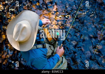 Ortsansässiger Fliege Fischen für Forelle auf Gore Creek, Vail, Colorado im August. Stockfoto