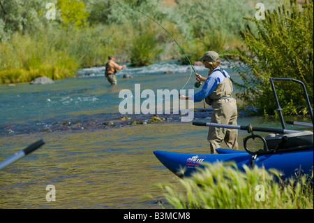 Fliegenfischen Sie am unteren Owyhee River ein blaues Band Bachforelle Fischerei im südöstlichen Oregon Stockfoto