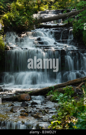 Wagner Falls Wasserfall am Wagner Creek bei Munising Michigan MI wunderschöne Landschaft Wald Natur von oben aus niemand vertikal in den USA hochauflösend Stockfoto