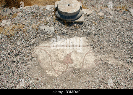 Fragment von Bodenmosaiken in Xanthos, einer antiken lykischen Stadt im Südwesten der heutigen Türkei. Stockfoto