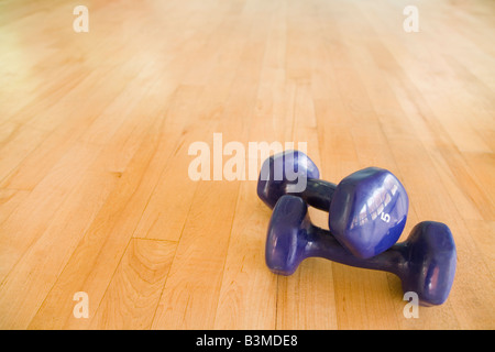 Paar Hanteln auf dem Boden eines Fitness-Studios mit Textfreiraum Stockfoto