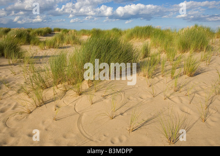 Winterton Beach Norfolk UK September Stockfoto