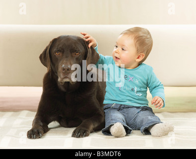 Mädchen und Labrador Retriever Stockfoto