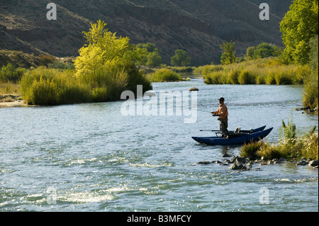 Fliegenfischen Sie am unteren Owyhee River ein blaues Band Bachforelle Fischerei im südöstlichen Oregon Stockfoto