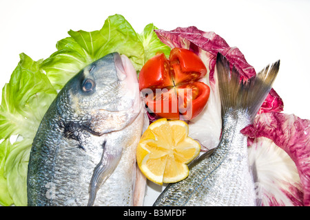 Frischer Fisch mit mit grünen und roten Salat Zitronen und Tomaten Stockfoto