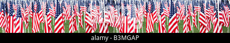 Stars And Stripes Flaggen in einem Panoramablick Ideal für ein Banner oder einen Rahmen Stockfoto