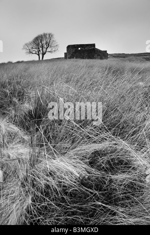 Top Withens, in der Nähe von Haworth.  Top Withens wird gedacht, um Emily Brontes Wuthering Heights inspiriert haben Stockfoto