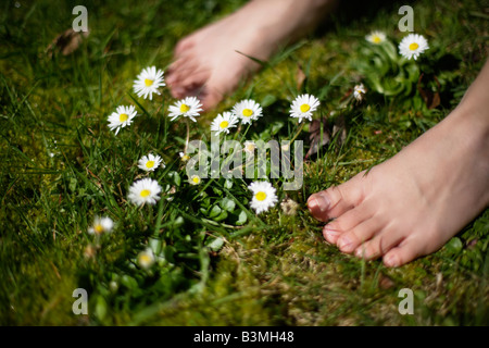 Sechs Jahre alter Junge steht barfuß unter Gänseblümchen im Rasen Stockfoto