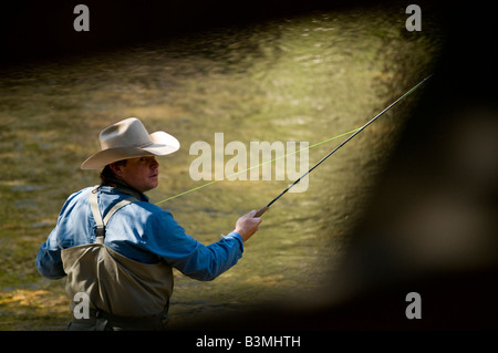 Ortsansässiger Fliege Fischen für Forelle auf Gore Creek, Vail, Colorado im August. Stockfoto