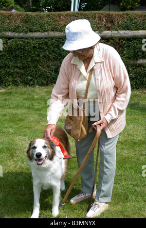 Preisträger (Welsh Collie) Dorf Hundeausstellung, Potterne, Wiltshire Stockfoto