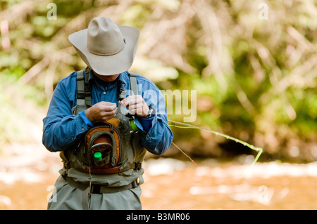 Ortsansässiger Fliege Fischen für Forelle auf Gore Creek, Vail, Colorado im August. Stockfoto