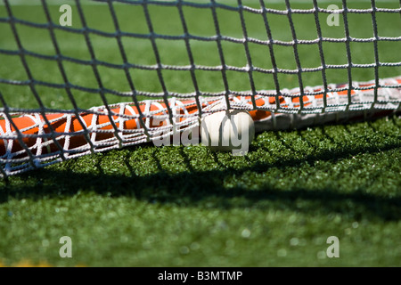 Nahaufnahme von Lacrosse-Ball im Netz auf grünen Spielfeld, selektiven Fokus Stockfoto