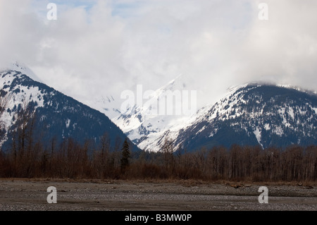 Landschaft bei einer rafting-Tour auf dem Chilkat River durch die Chilkat Bald Eagle Preserve gesehen Stockfoto