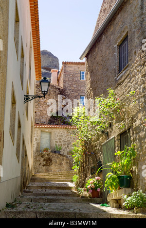 Portugal, Beira Baixa, Zentral-Portugal, Bezirk Castelo Branco, schmalen Straße in Monsanto Stockfoto