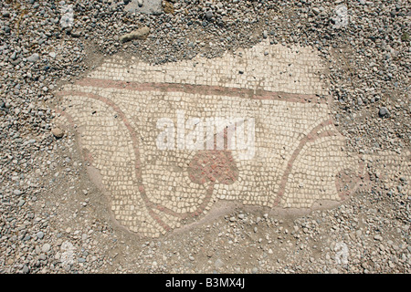 Fragment von Bodenmosaiken in Xanthos, einer antiken lykischen Stadt im Südwesten der heutigen Türkei. Stockfoto