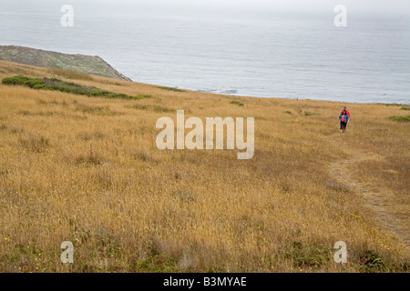 Albion California ein paar Spaziergänge auf einem Pfad über dem Pazifischen Ozean in Nord-Kalifornien Stockfoto