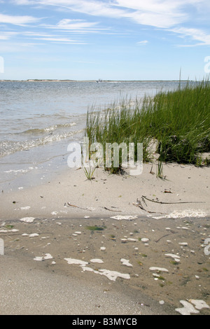 Gezeiten Bächlein und Gräser am Monomoy National Wildlife Refuge, Morris Island, Chatham, Massachusetts, USA. Stockfoto