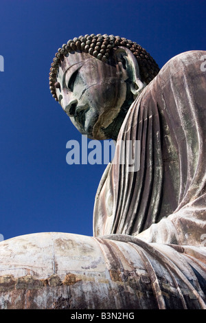 Der große Buddha-Statue an der Kotoku im Tempel in Kamakura, Japan. Stockfoto