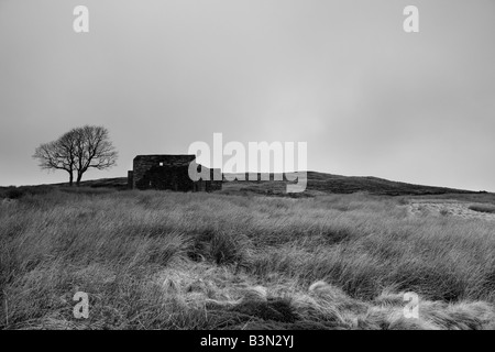 Top Withens, in der Nähe von Haworth.  Top Withens wird gedacht, um Emily Brontes Wuthering Heights inspiriert haben Stockfoto