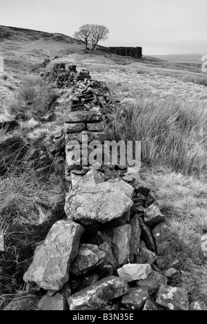 Trockenmauer am Top Withens, in der Nähe von Haworth.  Top Withens wird gedacht, um Emily Brontes Wuthering Heights Roman inspiriert haben. Stockfoto