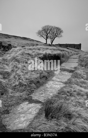 Fußweg auf Top Withens, in der Nähe von Haworth.  Top Withens wird gedacht, um Emily Brontes Wuthering Heights Roman inspiriert haben. Stockfoto