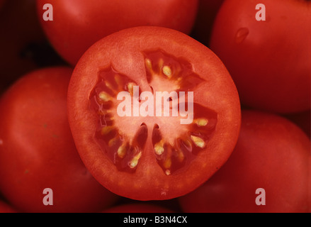 Close up Portrait of geschnittenen Tomate Solanum Lycopersicum USA Stockfoto
