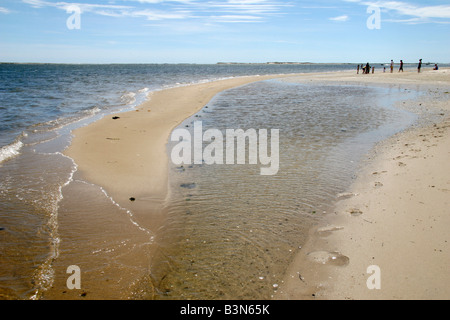 Kleinen Sandbank bei Monomoy National Wildlife Refuge, Morris Island, Chatham, Massachusetts, USA. Stockfoto