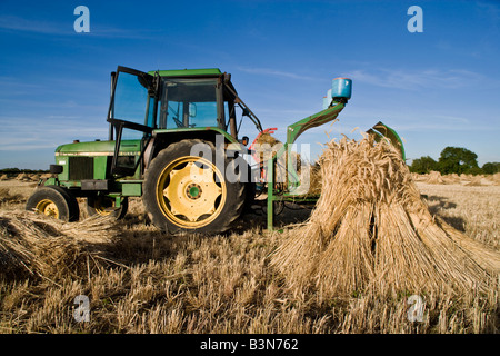 Oxfordshire Weizenfeld mit Zugfahrzeug um die spezielle lange stemmed Ernte, Trocknung in Garben oder Stooks zu laden. Stockfoto