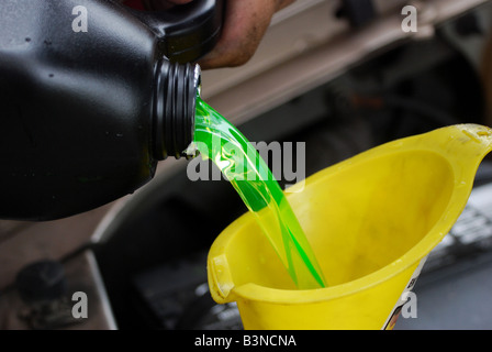 Kühlerschutzmittel (Frostschutzmittel) wird in einen Trichter gegossen Stockfoto