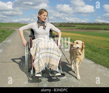 Frau im Rollstuhl mit Labrador Retriever / Stockfoto