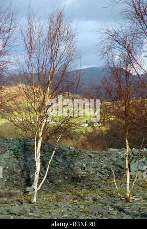 Landschaft am Hodge enge Schiefer Steinbruch Cumbria Blick Tilberthwaite Tal und Ackerland Stockfoto