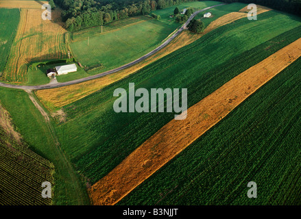 Luftaufnahme von Äckern bei Dämmerung, Mid-Atlantic Region der USA Stockfoto