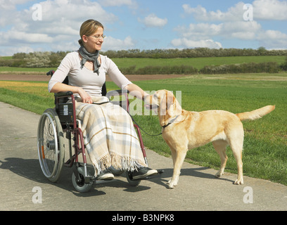 Frau im Rollstuhl mit Labrador Retriever / Stockfoto