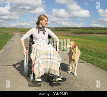 Frau im Rollstuhl mit Labrador Retriever / Stockfoto