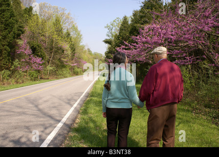 Zusammen im Frühjahr Stockfoto